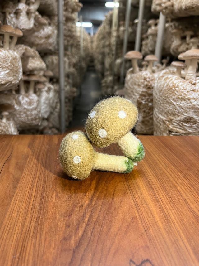 Pair of felt mushrooms on a wooden table